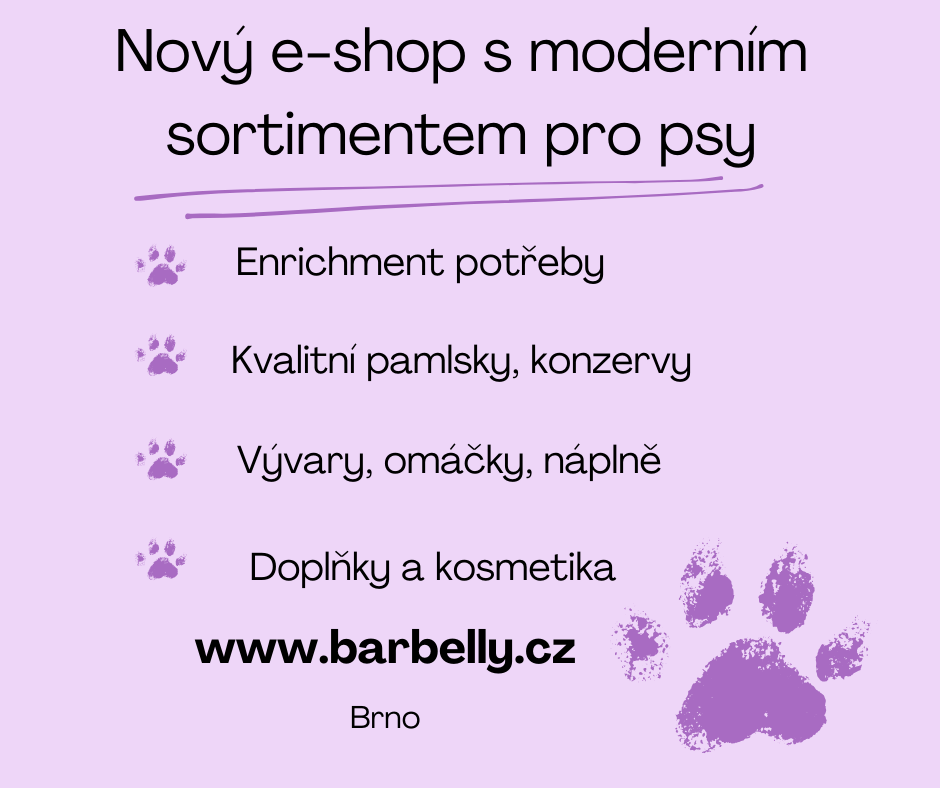 Návrh bez názvu (22)